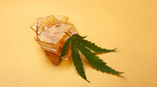 concentrés de cbd